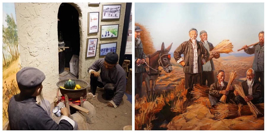 1624271995541015276.jpg 5.jpg